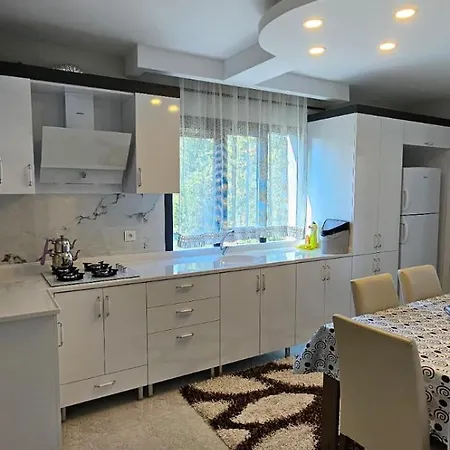 公寓 Sirel Plaza 尼代