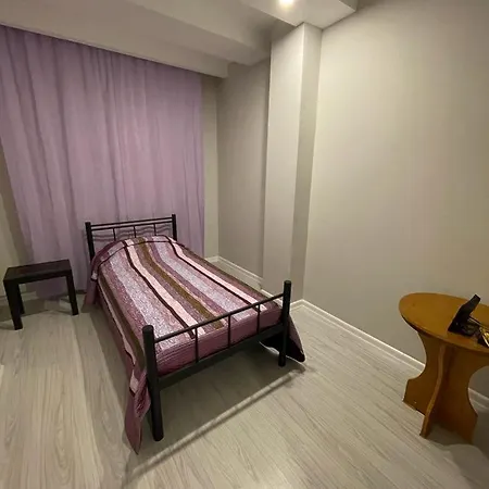 公寓 Sirel Plaza 尼代